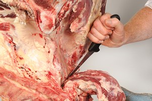 Sirloin and whole Fillet (bone-in) Meat Cut Spec Step 9